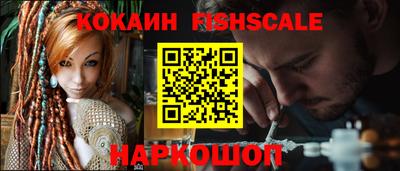 стаф Гатчина