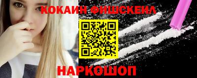 стаф Гатчина