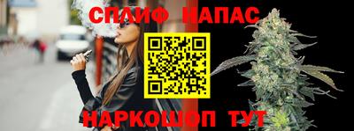 стаф Гатчина