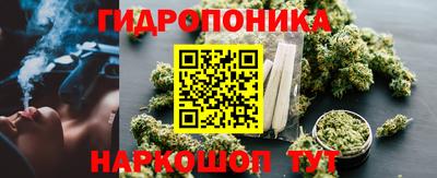 стаф Гатчина