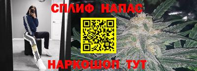 стаф Гатчина