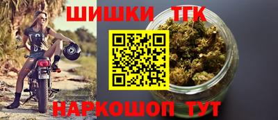 стаф Гатчина