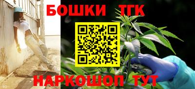 стаф Гатчина