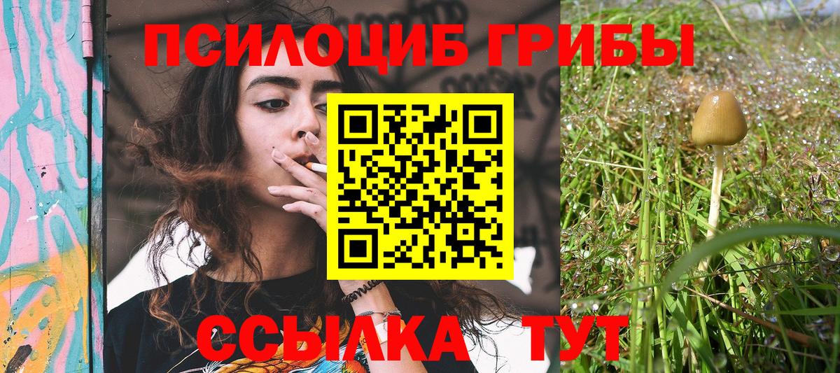Галлюциногенные грибы Magic Shrooms Копейск