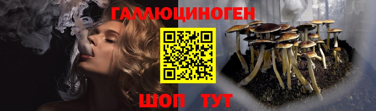 Галлюциногенные грибы мухоморы  Вход с VPN  Копейск  Галлюциногенные грибы Psilocybine cubensis 